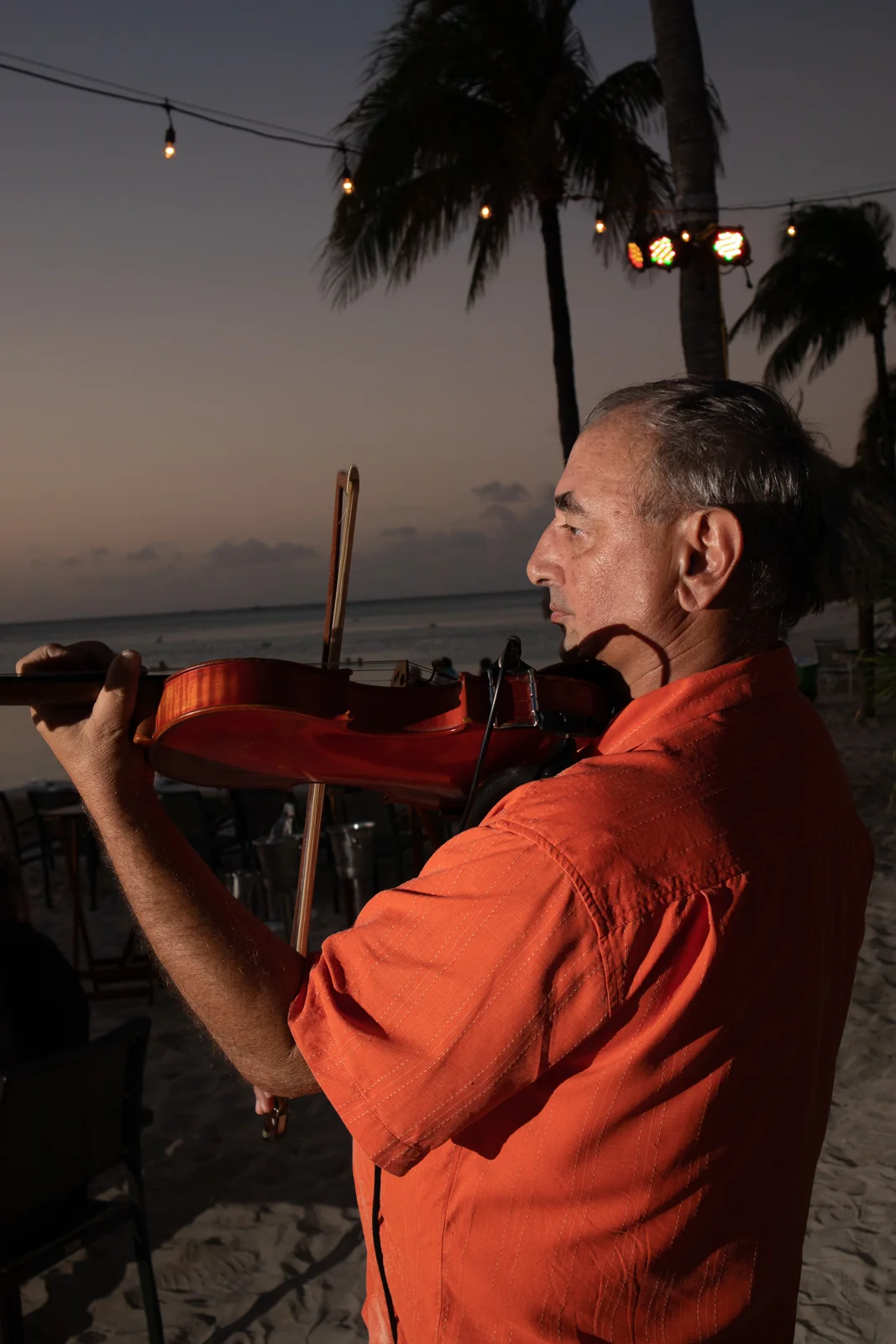 Nicola performing outdoors beneath palm trees at dusk
